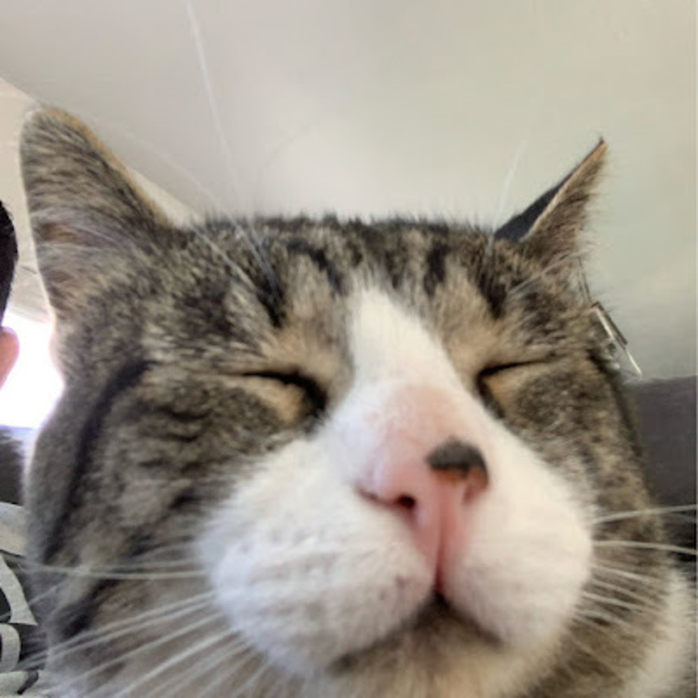 Meet your Posher, Erik